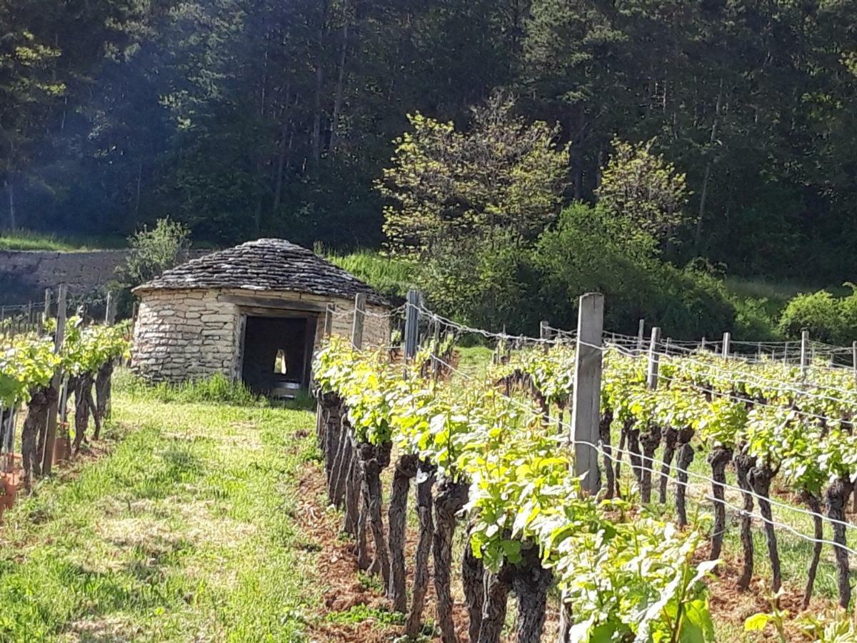 Le Bois De Laval Bed & Breakfast Marey-les-Fussey Exterior foto